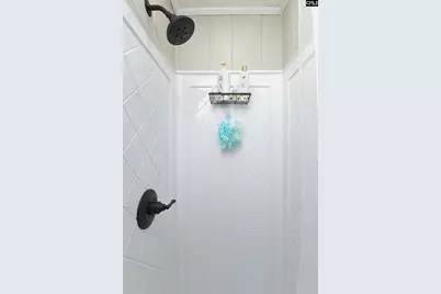 1155 Russ Brown Road, Blythewood, SC 29016 - Photo 43