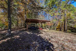 1155 Russ Brown Rd, Blythewood, SC 29016 - Photo 55