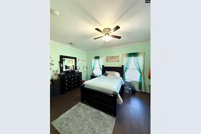 142 Sturkie Street, Cope, SC 29038 - Photo 17