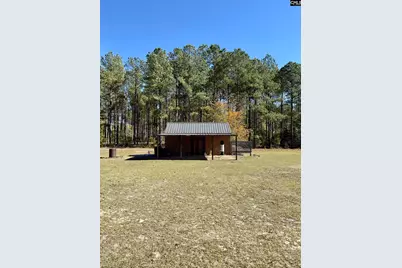 142 Sturkie Street, Cope, SC 29038 - Photo 21