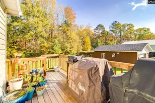 2515 Wessinger Rd, Chapin, SC 29036 - Photo 31