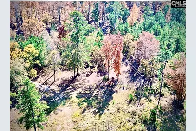 1435 Community Pond Road, Eastover, SC 29044 - Photo 5