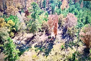 1435 Community Pond Rd, Eastover, SC 29044 - Photo 5