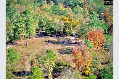 1435 Community Pond Road, Eastover, SC 29044 - Photo 7