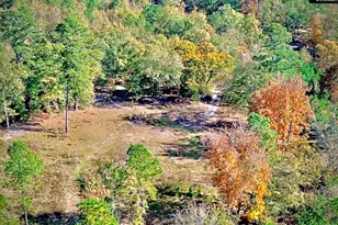 1435 Community Pond Rd, Eastover, SC 29044 - Photo 7