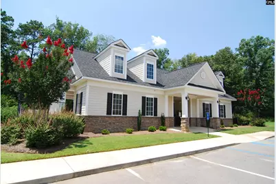 1055 Grey Duck Lane, Blythewood, SC 29016 - Photo 53