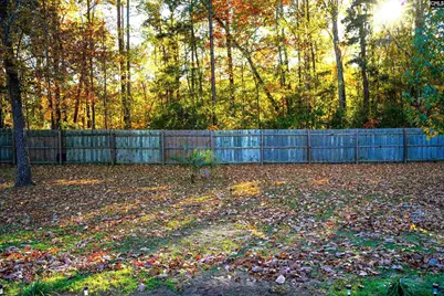 3255 Valencia Drive, Dalzell, SC 29040 - Photo 9