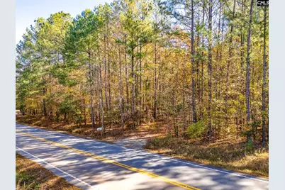 430 Smyrna Church Road, Elgin, SC 29045 - Photo 11