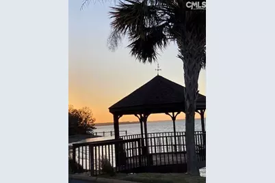 9 High Hill Road, Lexington, SC 29072 - Photo 67