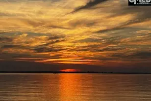 9 High Hill Rd, Lexington, SC 29072 - Photo 65