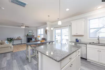 64 Downing Circle, Gilbert, SC 29054 - Photo 11