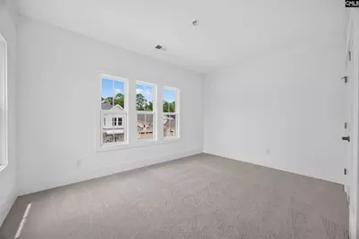 541 Dreher Locks Road, Lexington, SC 29072 - Photo 39