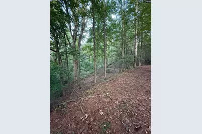 2 Hwy 76, Newberry, SC 29108 - Photo 5