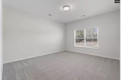 763 Clementine Run, Gilbert, SC 29054 - Photo 21