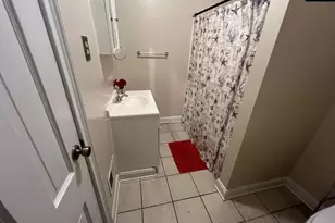 172 S Pine St, Batesburg, SC 29006 - Photo 39