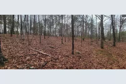 2458 Chapin Road #6 &amp; 7, Chapin, SC 29036 - Photo 1