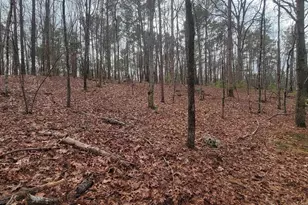 2458 Chapin Rd, Chapin, SC 29036 - Photo 1