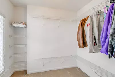 3 Holly Hedge Court, Blythewood, SC 29016 - Photo 21