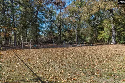 308 Day Drive, Swansea, SC 29160 - Photo 31