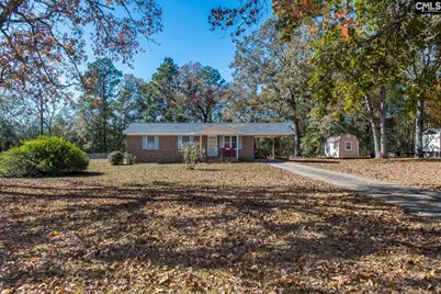 308 Day Drive, Swansea, SC 29160 - Photo 1