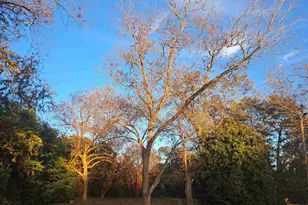 6715 Young St, Rembert, SC 29128 - Photo 19