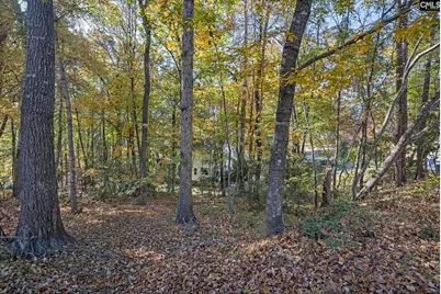 125 W Sparrowood Run, Lexington, SC 29072 - Photo 49