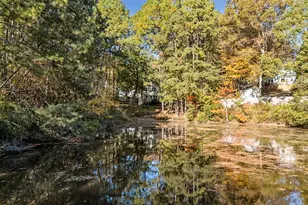 125 W Sparrowood Run, Lexington, SC 29072 - Photo 37