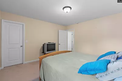 204 Saints Creek Lane, Irmo, SC 29063 - Photo 61