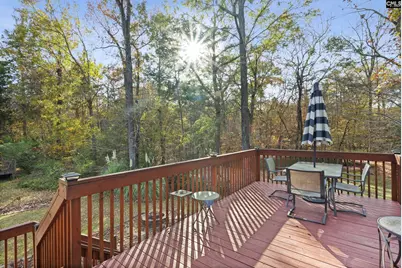 204 Saints Creek Lane, Irmo, SC 29063 - Photo 63