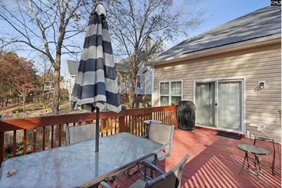 204 Saints Creek Lane, Irmo, SC 29063 - Photo 29