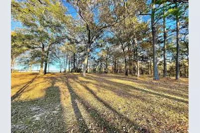 606 Shadow Lane Road, Wagener, SC 29164 - Photo 39