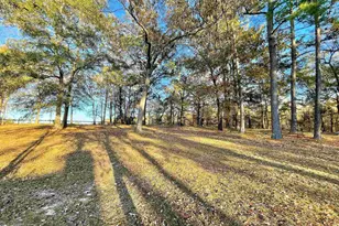 606 Shadow Lane Rd, Wagener, SC 29164 - Photo 39