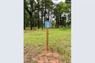 513 Misty Banks Drive #Lot 3, Chapin, SC 29036 - Photo 5