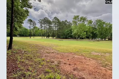 513 Misty Banks Drive #Lot 3, Chapin, SC 29036 - Photo 7