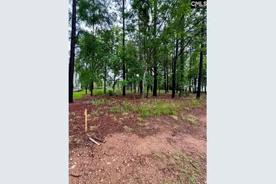 513 Misty Banks Drive #Lot 3, Chapin, SC 29036 - Photo 3