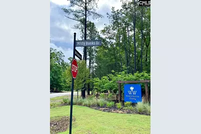 513 Misty Banks Drive #Lot 3, Chapin, SC 29036 - Photo 9