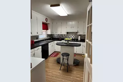 1411 E Harrison Ext Street, Dillon, SC 29536 - Photo 11