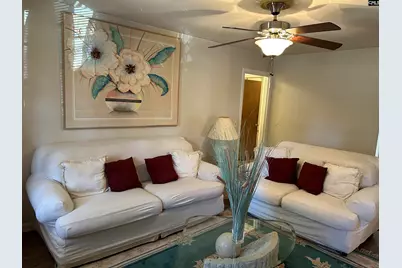 1411 E Harrison Ext Street, Dillon, SC 29536 - Photo 5