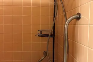 1411 E Harrison Ext St, Dillon, SC 29536 - Photo 31