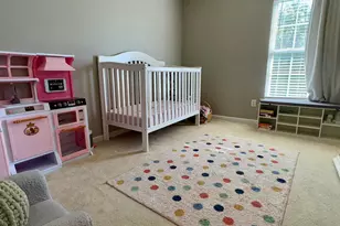 129 Dawson Hill Ln, Lexington, SC 29072 - Photo 15