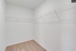 3667 Stedding Pl, Lexington, SC 29073 - Photo 17