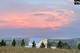 3667 Stedding Pl, Lexington, SC 29073 - Photo 5