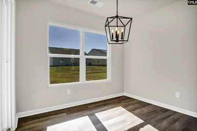 623 Wild Tulip Court, Gilbert, SC 29054 - Photo 9