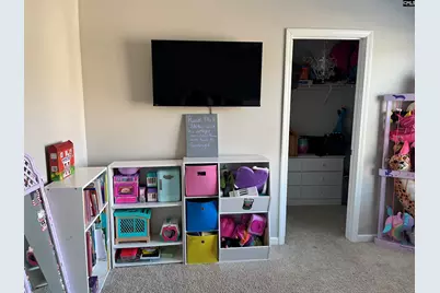 228 Bickley View Court, Chapin, SC 29036 - Photo 35