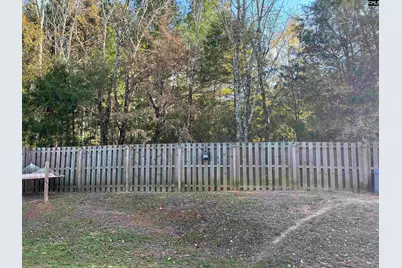 228 Bickley View Court, Chapin, SC 29036 - Photo 39
