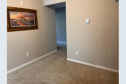 228 Bickley View Court, Chapin, SC 29036 - Photo 21