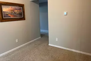 228 Bickley View Ct, Chapin, SC 29036 - Photo 21