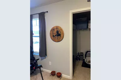 228 Bickley View Court, Chapin, SC 29036 - Photo 37