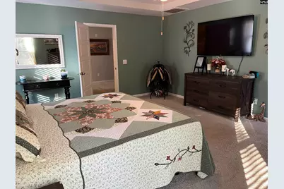 228 Bickley View Court, Chapin, SC 29036 - Photo 25