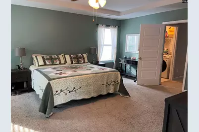 228 Bickley View Court, Chapin, SC 29036 - Photo 23